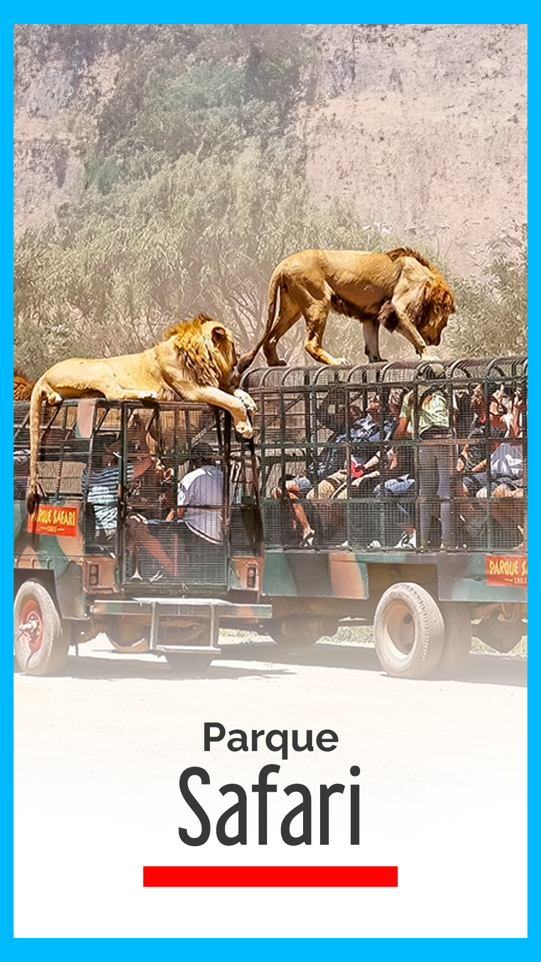 Parque Safari